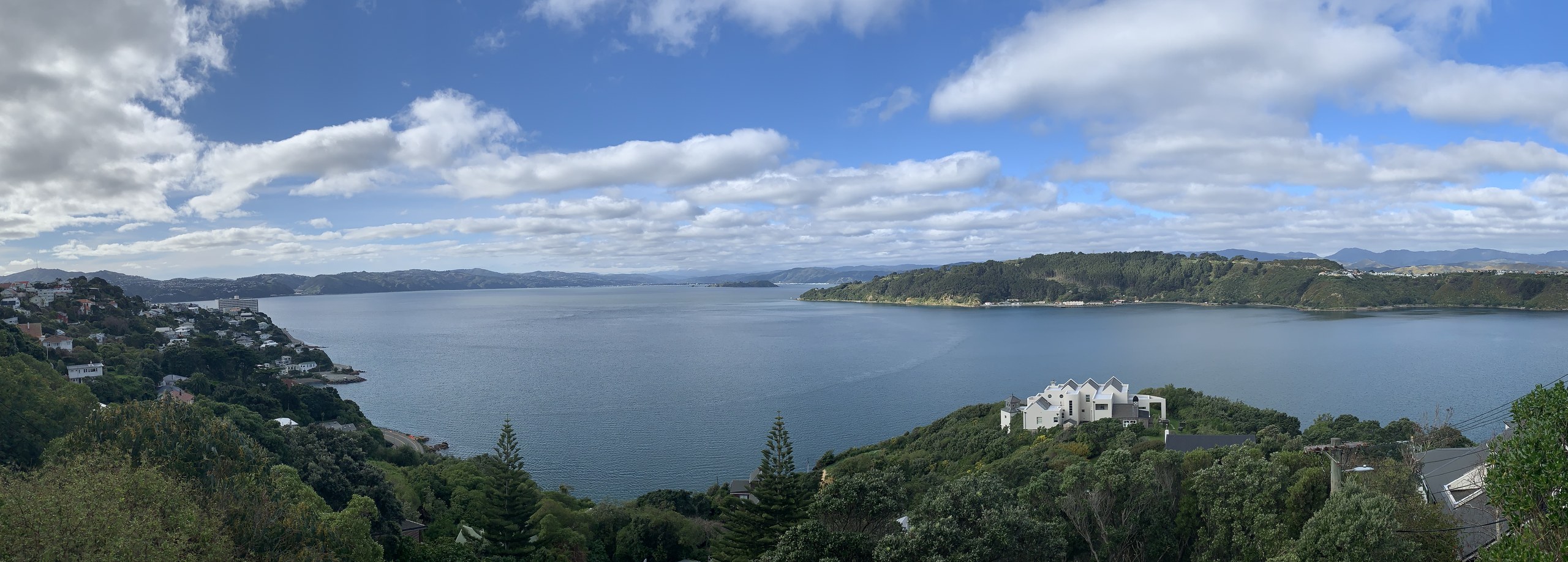 Wellington Harbour from Roseneath